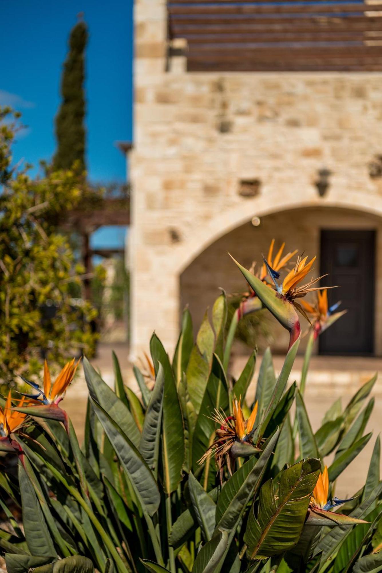 Villa Gloria Seaview - Luxury & Family Kokkino Chorio 外观 照片